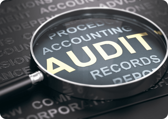 Optimize Your SAP Budget With License Auditor